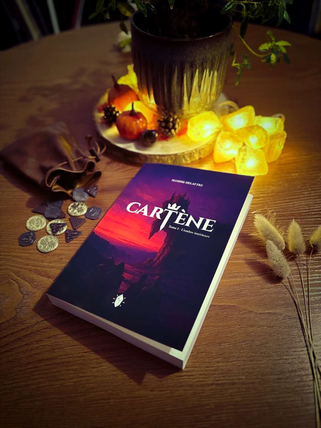 Instagram post from maxdelattre.auteur. This post is in position 0.